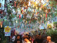 -南京同仁堂(中华路店)