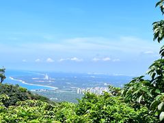 -海南铜鼓岭景区