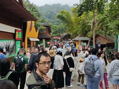 -野象谷景区