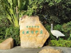 -深圳湾公园(南山区)