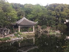-叶家花园