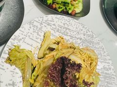 -靓蛙馆