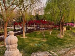 -西海子公园