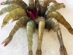 -红菇坊鲜汤火锅(北行店)