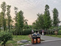 -眉山湿地公园(东坡区)