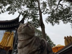 -东钱湖小普陀景区