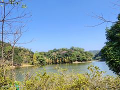 -广州市石门国家森林公园