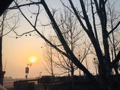 -润泽园椰子鸡(汇一城店)