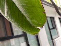 -北平小院设计酒店