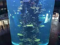 -青岛嘉年华主题乐园