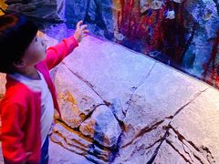 -沈阳海洋探索中心