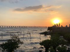 -宝安西湾红树林湿地公园