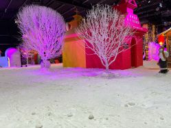 -圣名游乐城冰雪大世界