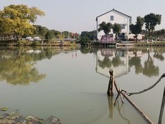 -水岸居湖景农家乐·阳澄湖大闸蟹