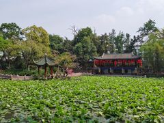 -房湖公园