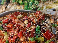 -锦尚阁烤鱼(望京新荟城店)