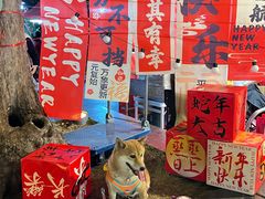 -文华公园(禅城区)
