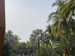 -三亚湾海居铂尔曼度假酒店