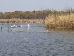 -西青郊野公园