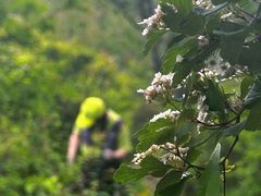 -阳台山自然风景区