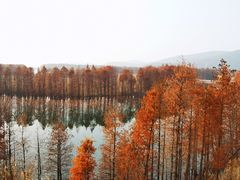 -西山风景区