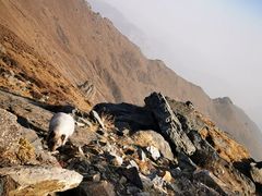 -灵山
