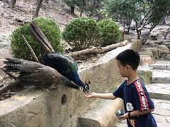 -大连森林动物园