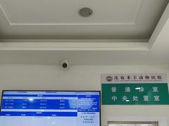-派美特宠物医院·核磁CT·骨科肿瘤·疑难转诊(沈农禾丰店)