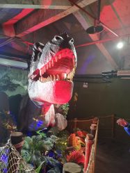 -恐龙探索乐园(磁器口店)