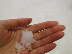 -Mr·Kuma酷么先生雪之乐园