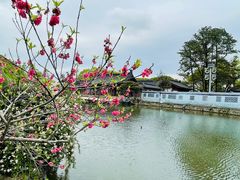 -江心屿景区