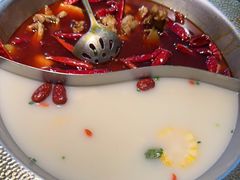 -麻田会 ·鲜活现烹·牛蛙火锅(珠江新城维家思广场店)