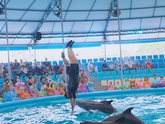 -尼莫海豚馆