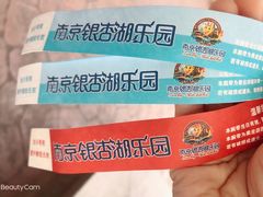 -南京银杏湖乐园