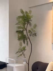 -小梨·OndaPro·专业脱毛连锁机构