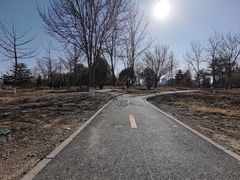 -太阳宫公园