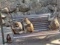 -洛阳花果山景区
