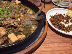 -老板恋上鱼(恒隆广场店)