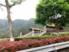 -铁山坪森林公园