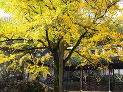 -无锡惠山寺