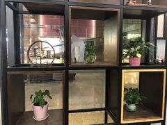 -桂桂茶(万嘉广场店)