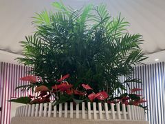 -LANN I 蘭 SPA(陆家嘴中心店)