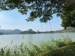 -顺峰山公园