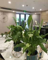 -酉嘉瑜伽YO+YOGA