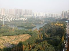 -重庆彩云湖湿地公园