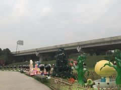 -秀丽东方