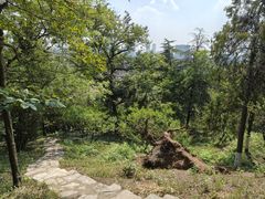 -九华山公园