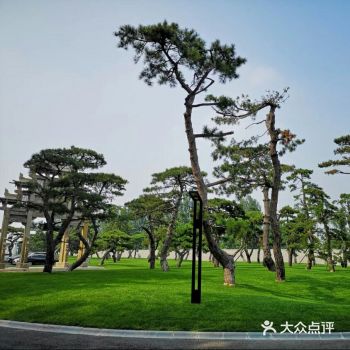 打卡网红美术馆，松美术馆。