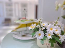 -MIVI野生眉纹绣纹眉