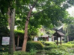 -天赐温泉